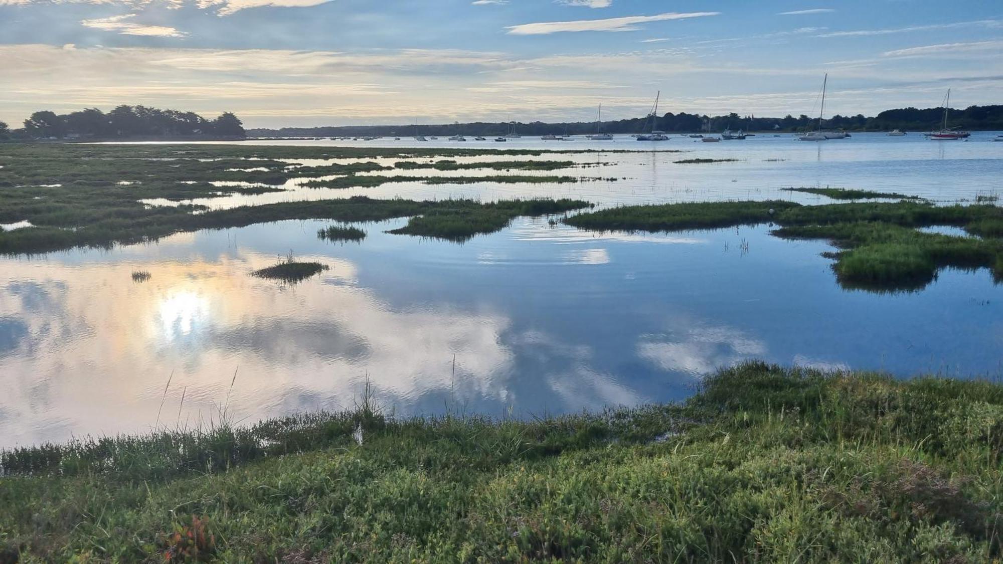 Maison Golfe Du Morbihan - Vue Mer - Plage A 600M - 6 Chambres Séné Zewnętrze zdjęcie