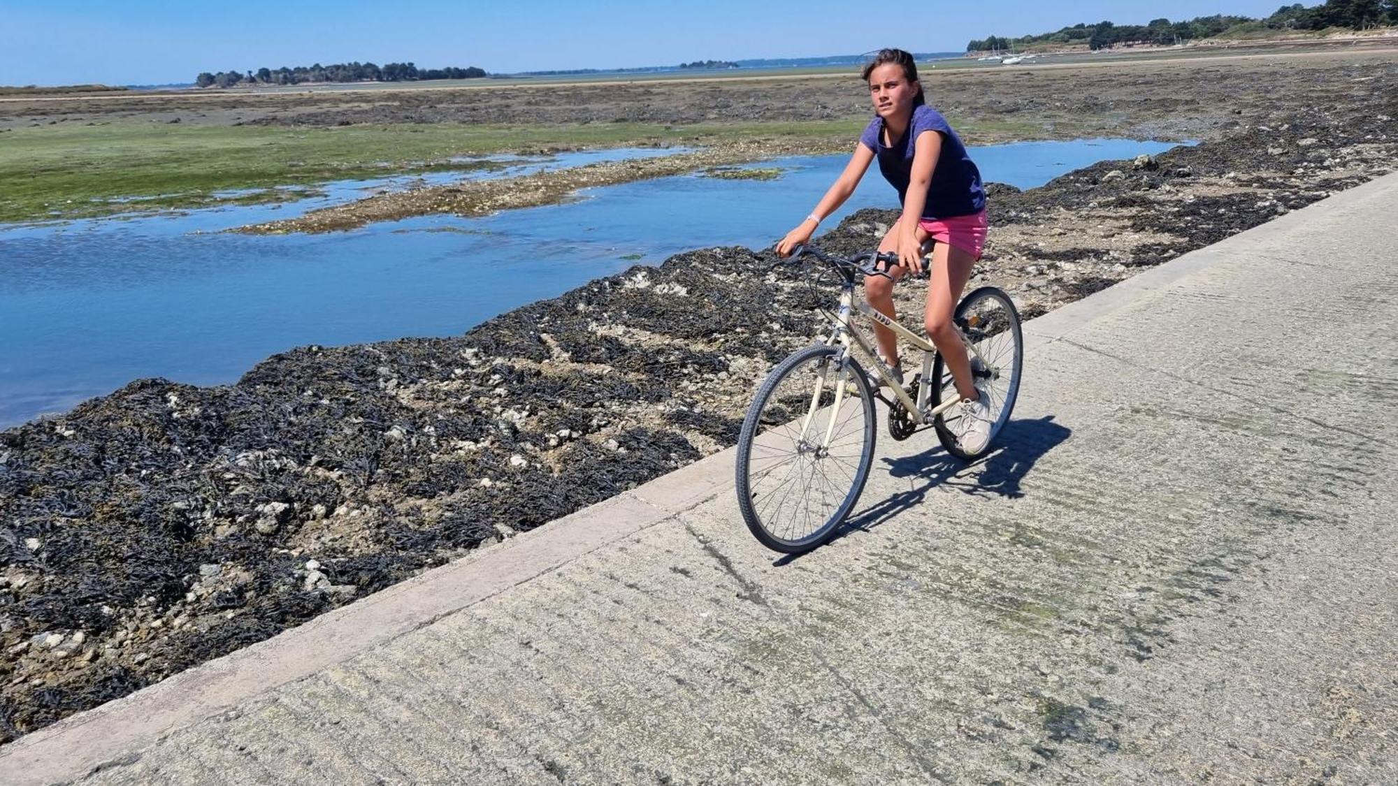 Maison Golfe Du Morbihan - Vue Mer - Plage A 600M - 6 Chambres Séné Zewnętrze zdjęcie
